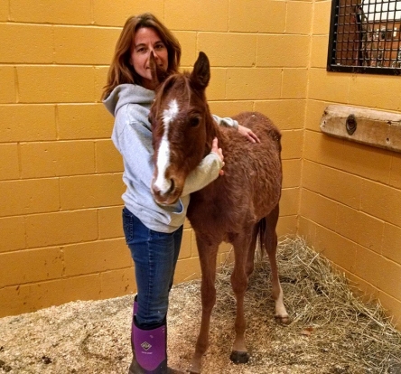 Help the horses to recover at Peaceful Acres Horses 